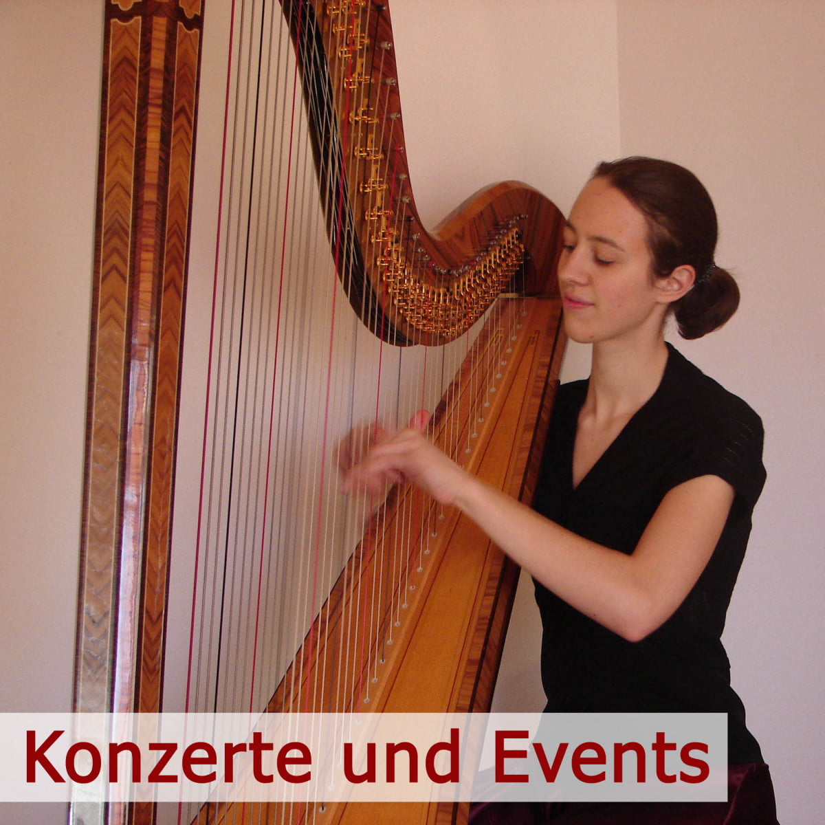 Harfenkonzerte und Events Judith Hambücher